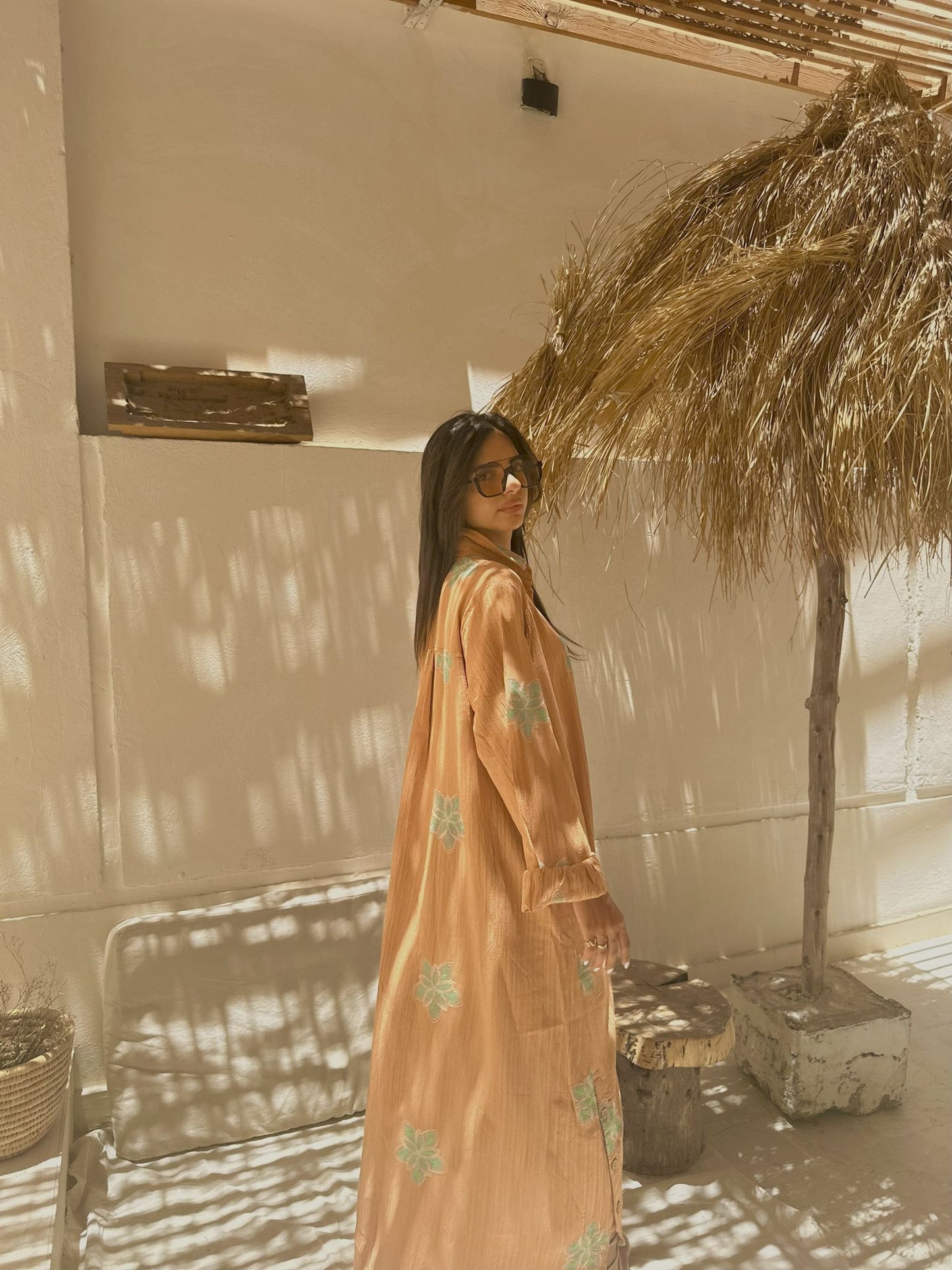 light brown embroidered dress