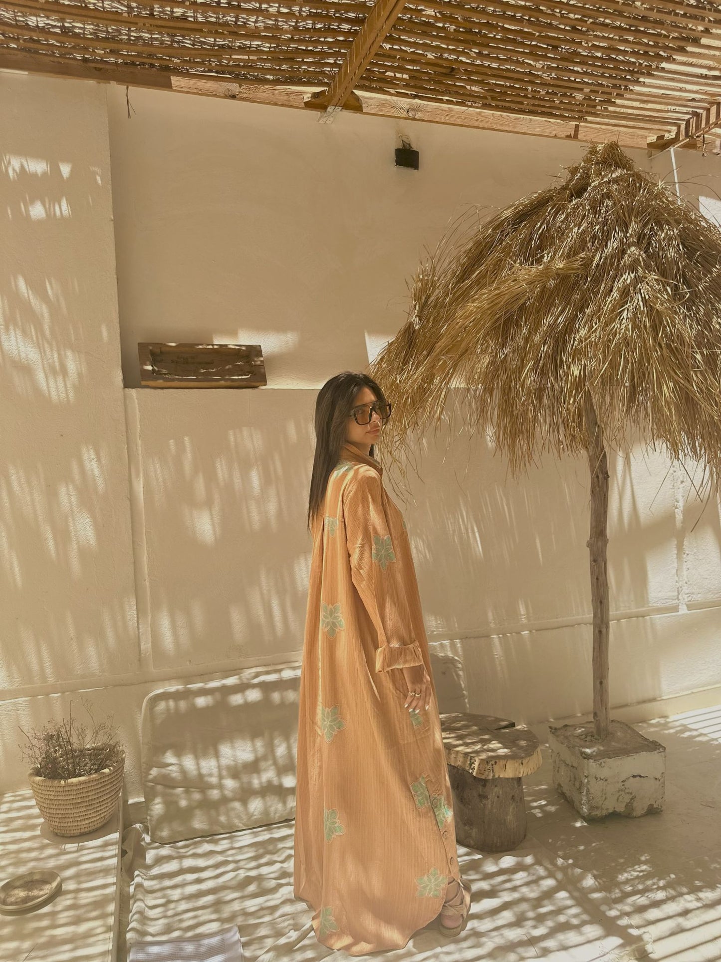 light brown embroidered dress